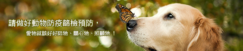 狂犬病專區